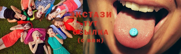 шишки Белоозёрский