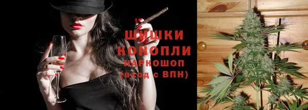 шишки Белоозёрский