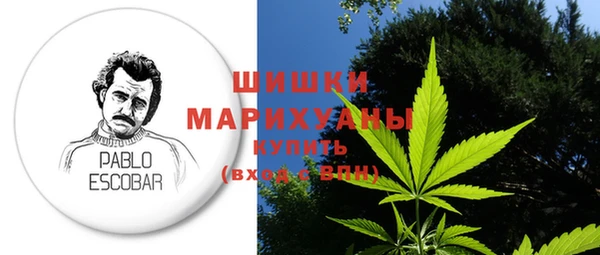 дживик Богородск
