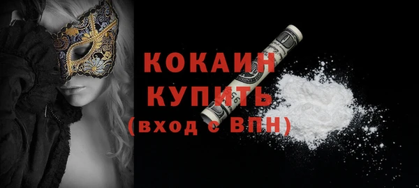 шишки Белоозёрский