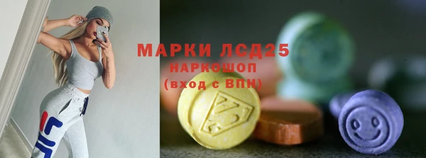 шишки Белоозёрский