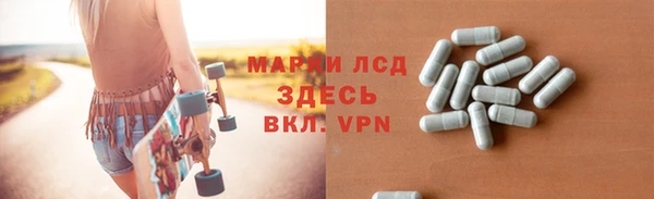 дживик Богородск