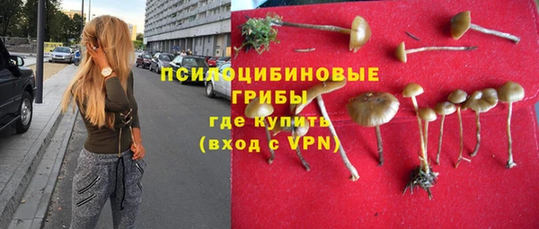 дживик Богородск