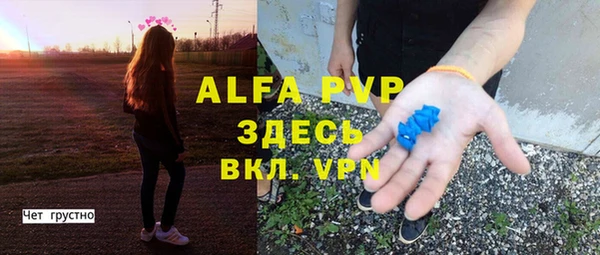 дживик Богородск