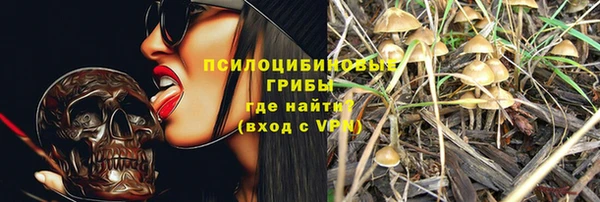 шишки Белоозёрский