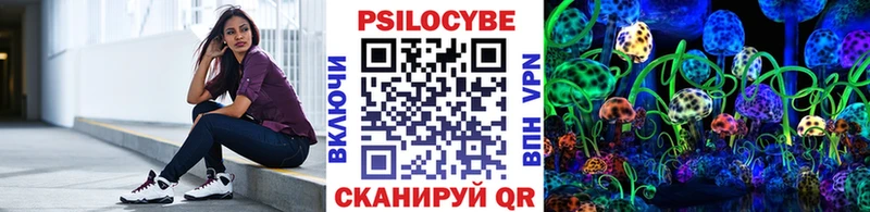 как найти закладки  Бор  Галлюциногенные грибы Psilocybine cubensis 
